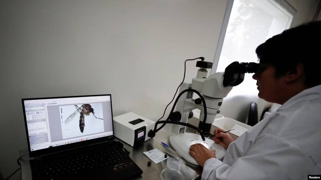 Dengue se propagará en sur de Europa